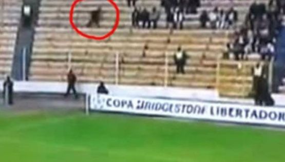 Video: Fox Sport filmó un “fantasma” en pleno partido de Libertadores