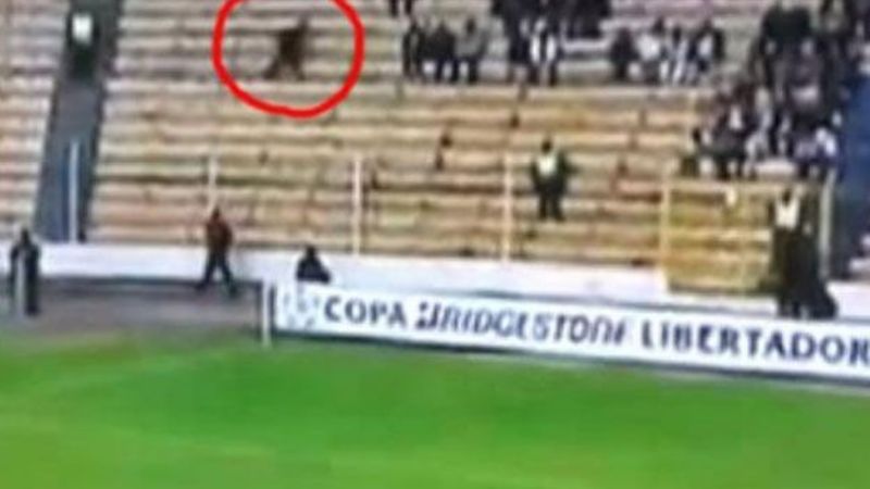 Video: Fox Sport filmó un “fantasma” en pleno partido de Libertadores