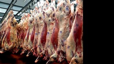 Ya se venden los cortes de carne a precios rebajados