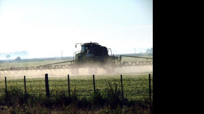 Furia de los vecinos por fumigaciones ilegales: "La fiscalía y el municipio saben pero no hacen un carajo"