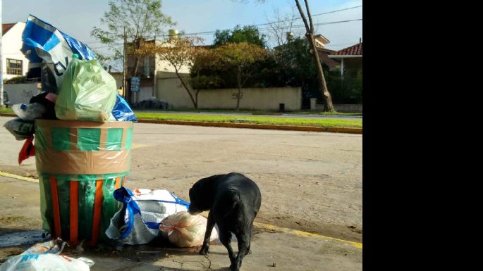 Necochea sin recolección de basura este martes y miércoles