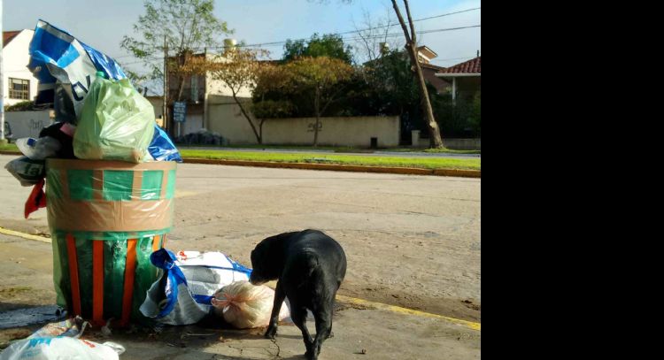 Necochea sin recolección de basura este martes y miércoles