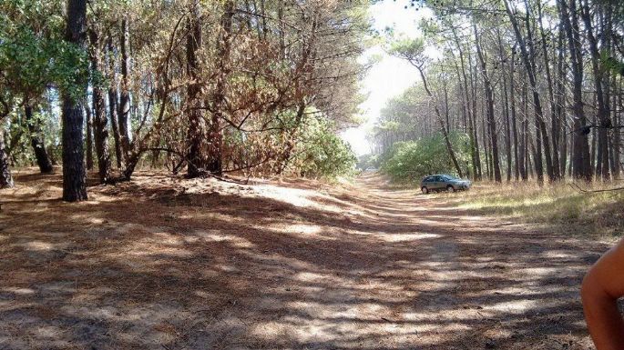 El HCD trata la DIGAP, el proyecto ambientalista para el parque