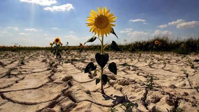 Una encuesta mundial mostró que el 80% de la población mundial reclama más acciones contra el cambio climático