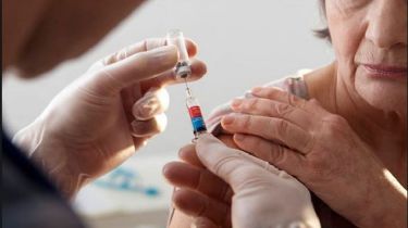 Brasil probará la vacuna rusa en octubre