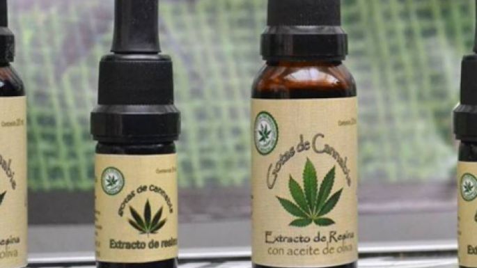 Nación lanza en Necochea préstamos de hasta 50 millones para plantar cannabis medicinal