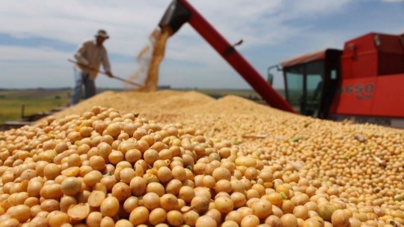 La soja y el maíz generaron el 41% de las exportaciones totales en Argentina durante el 2021