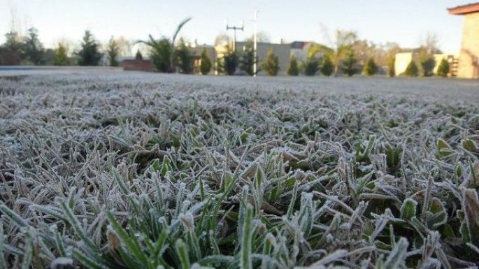 Helada: Se registraron -8ºC en la madrugada en Necochea y la zona