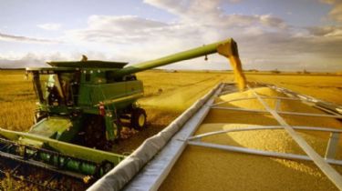 Producción: Se acelera la cosecha de soja y se ralentiza la de maíz