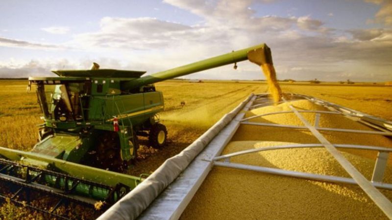 Producción: Se acelera la cosecha de soja y se ralentiza la de maíz