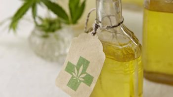 ANMAT aprobó la venta en todo el país del aceite de cannabis medicinal argentino