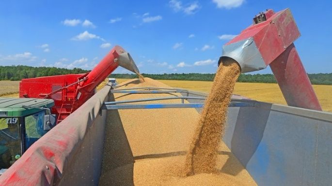 Evasión en la comercialización de granos: AFIP desarticuló maniobras por 53.318 toneladas