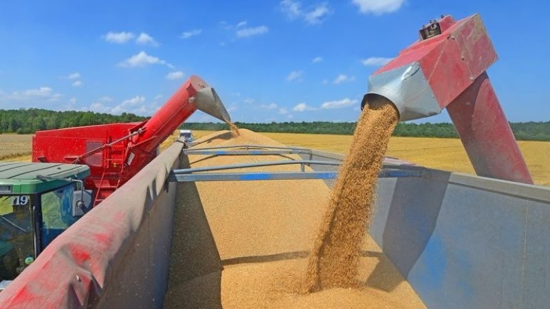 Evasión en la comercialización de granos: AFIP desarticuló maniobras por 53.318 toneladas