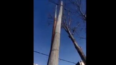 En las redes: Video de un poste al borde del derrumbe en pleno centro
