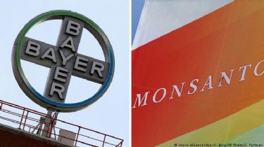 Histórico: Las acciones de Bayer cayeron un 10% por un juicio perdido por Monsanto