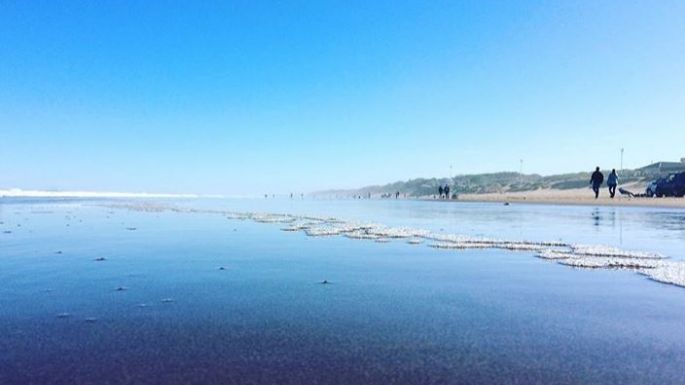 Cómo estará el clima en Necochea y Quequén este miércoles 03-01