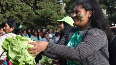 Con la marcha más masiva, el Encuentro de Mujeres hizo historia en La Plata