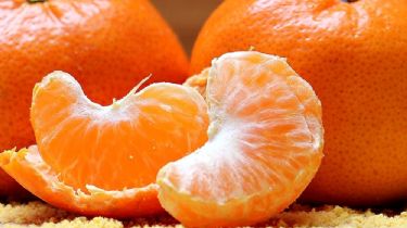 La UNLP investiga el potencial de la mandarina para bajar el colesterol