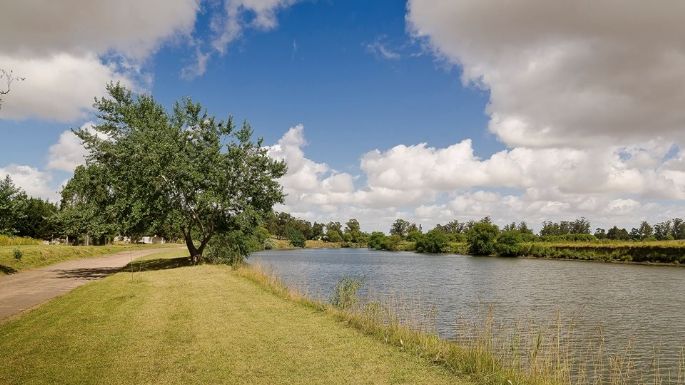 El clima en Necochea este viernes 11-08: Cielo nublado y muy ventoso