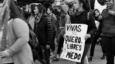 Se cometieron 155 femicidios en el país durante los primeros 7 meses del 2019, la mayoría en Buenos Aires