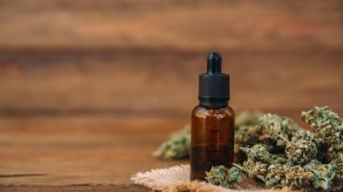 Cannabis medicinal: Legalizan el autocultivo y la venta de aceites en farmacias