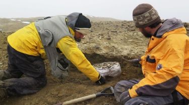 Antártida: Encontraron restos de un reptil similar al "Monstruo del Lago Ness" en la Isla Marambio