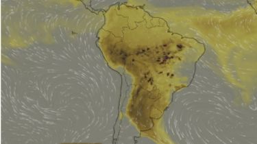 Amazonas en llamas: Extraña lluvia de cenizas cae sobre Necochea