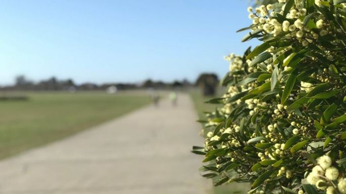 Cómo estará el clima en Necochea y Quequén este jueves 16-11