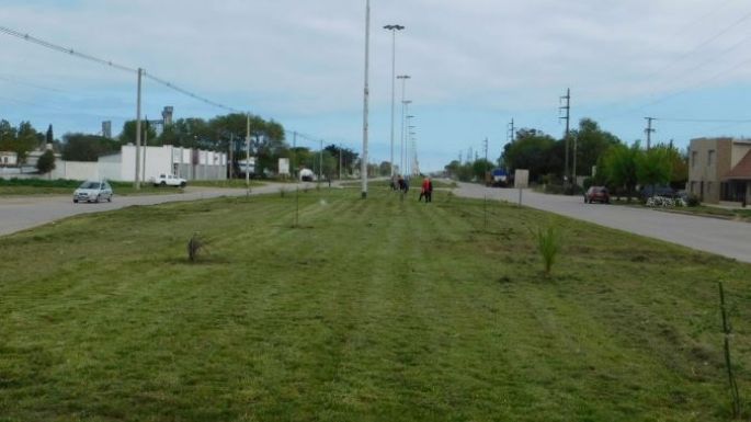 WhatsApp 4V: Vandalizaron un paseo construido por vecinos en la avenida Almirante Brown