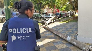 La Plata: Un camión tiró un poste de luz y un médico murió