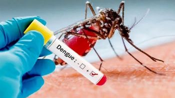 Dengue: Nutricionistas recomiendan alimentos clave para combatir la enfermedad