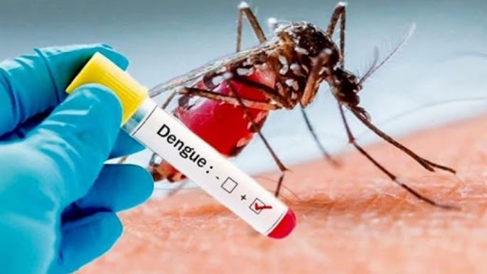 Alerta en Tandil: Confirmaron 5 casos de dengue