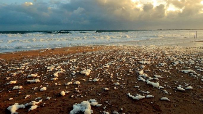 El clima en Necochea este viernes 17-03: Cielo algo nublado y 28° de máxima