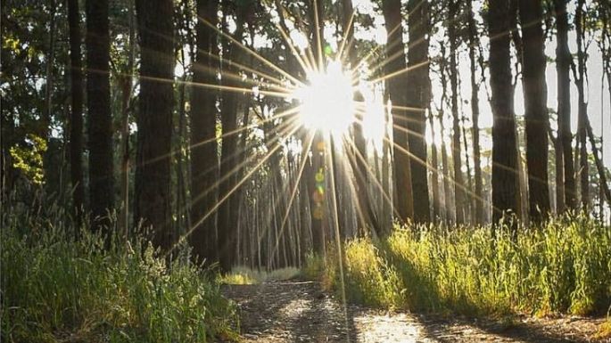 Cómo estará el clima en Necochea y Quequén este sábado 15-06