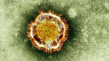Desmienten rumores sobre contagios de Coronavirus en Necochea