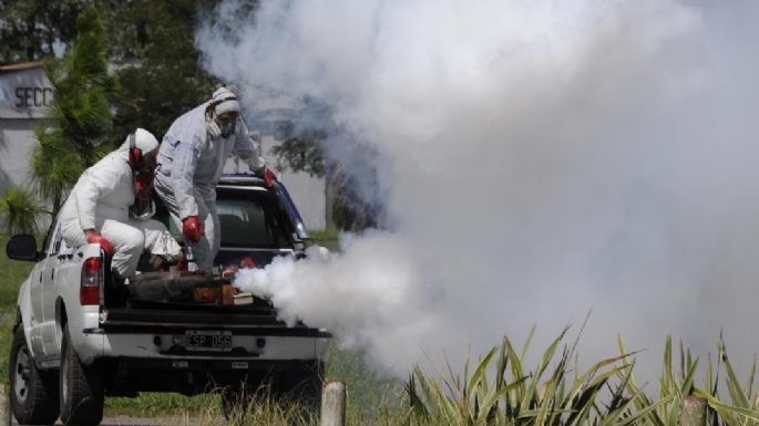 Dengue en la Provincia: 17 municipios afectados y una víctima fatal