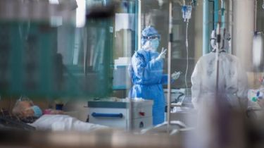 Coronavirus en el país: Se confirmaron 564 casos y 17 muertes