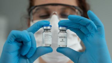 Investigadores argentinos desarrollan un suero terapéutico que neutraliza el Coronavirus