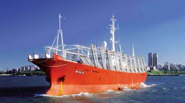Pesquero “Natalia”: Hay 11 tripulantes necochenses en el buque con casos sospechosos de Coronavirus