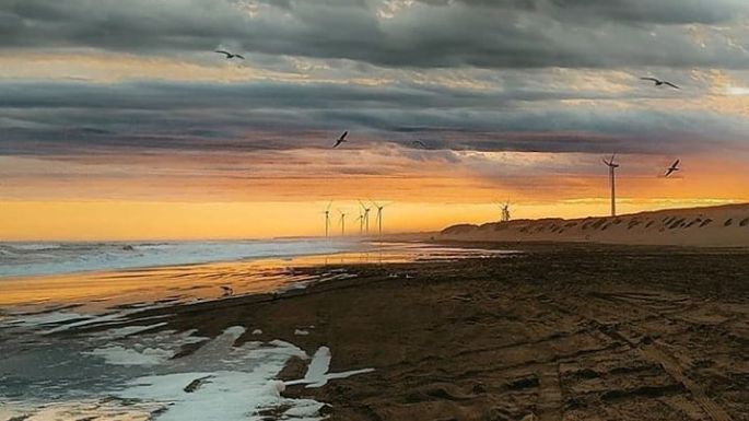 El clima en Necochea este martes 29-08: Nubosidad variable y 14° de máxima