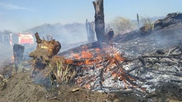 Sigue activo el incendio en Claromecó: Afectó a 300 hectáreas y perdura el alerta de los bomberos