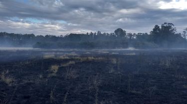 Incendio toma buena parte de un campo en Tres Arroyos