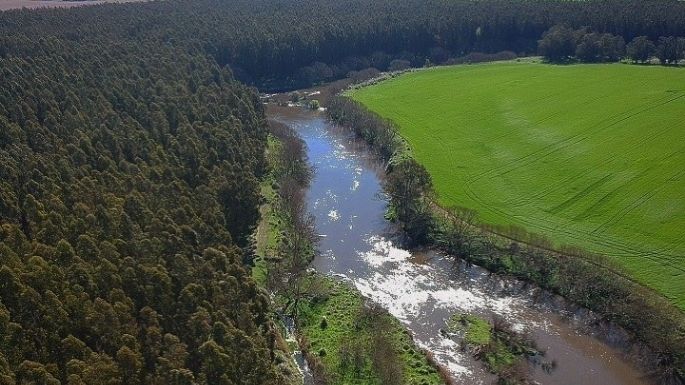 El clima en Necochea este martes 05-09: Cielo despejado y 12° de máxima