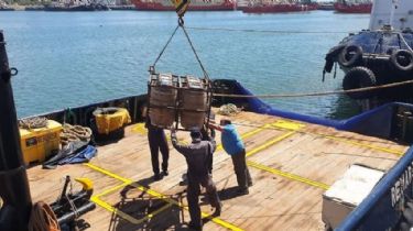 Insólito: “Piratas” se robaron 600 litros de cerveza que maceraban en el fondo del océano frente a Mar del Plata