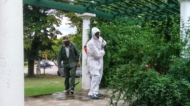 Invasión de mosquitos: Bromatología y la Policía Ecológica comenzaron a fumigar