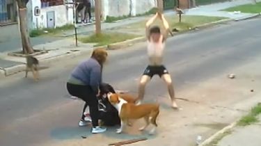 Video: Tres perros atacaron a una mujer y los vecinos lograron salvarla