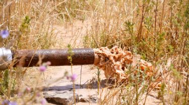 La culpa es del vecino y pasa en toda la provincia: Las respuestas de la Muni por la falta de agua
