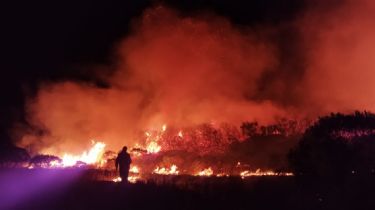 Incendio forestal en Miramar: Situación desesperante y pedido de voluntarios capacitados