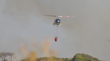 Controlaron las llamas en el incendio de Miramar: El fuego devoró 50 hectáreas del Vivero Municipal