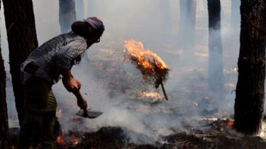 Controlaron las llamas en el incendio de Miramar: El fuego devoró 50 hectáreas del Vivero Municipal